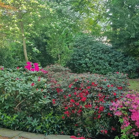 Bms Balance - Natur, Entspannung, King Size Bett, Free Parking, Lage, Netflix Apartment *